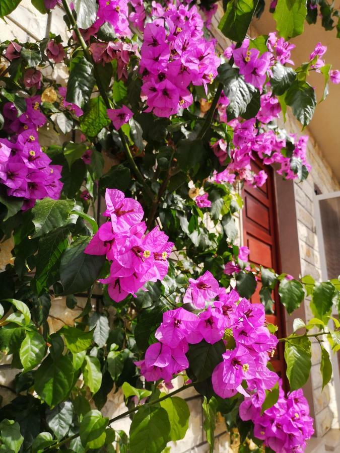 Sweet Triple Room In Makarska Exterior foto